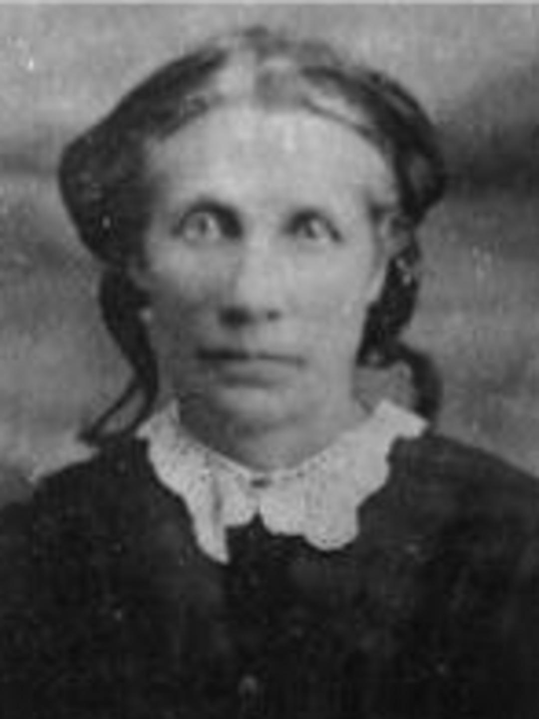 Agnes Smith Parker (1818 - 1893) Profile